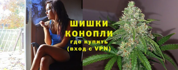амф Касимов