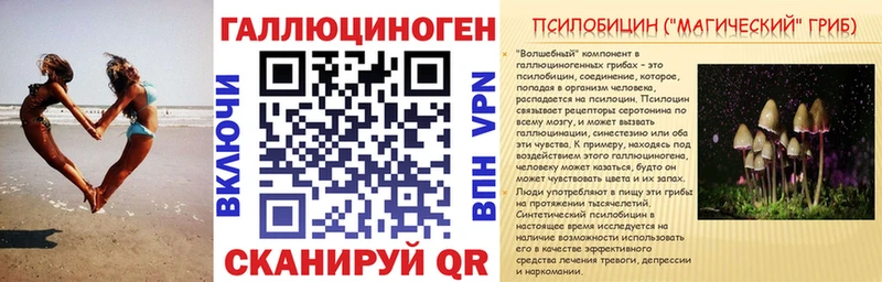 Галлюциногенные грибы Cubensis  Купить закладки  Можга 